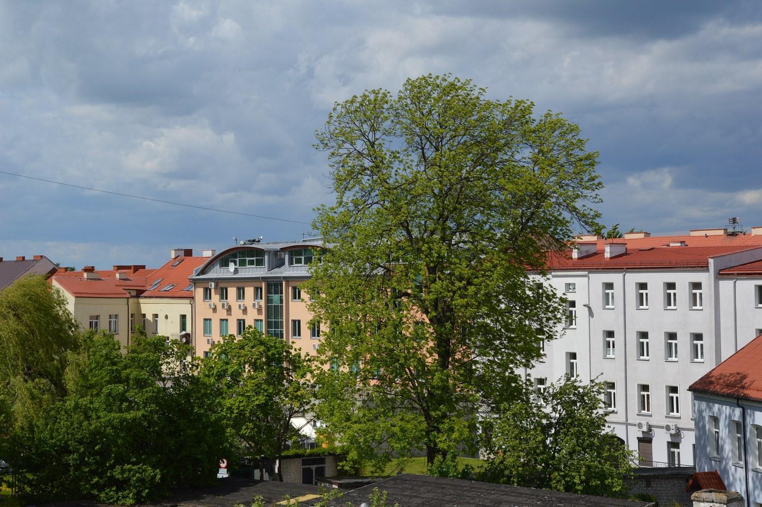 Pokoje Goscinne Centrum Kultury Prawoslawnej Białystok Esterno foto